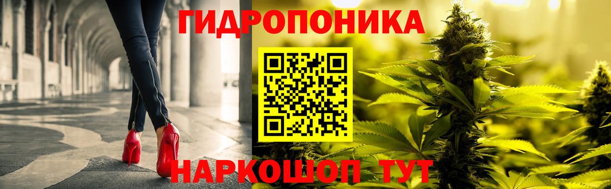 Бошки Шишки марихуана  Бошки Шишки ГИДРОПОН  Шишки марихуана план  Вход с VPN  Каннабис план  Славгород 
